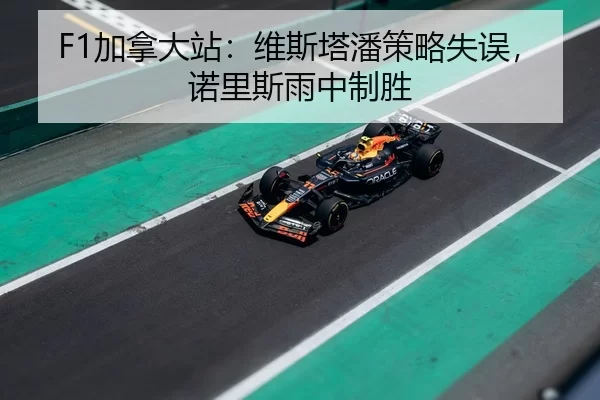 jia-na-da-zhan-wei-si-ta-pan-ce-lve-shi-wu-nuo-li-si-yu-zhong-zhi-sheng-3-603.jpg