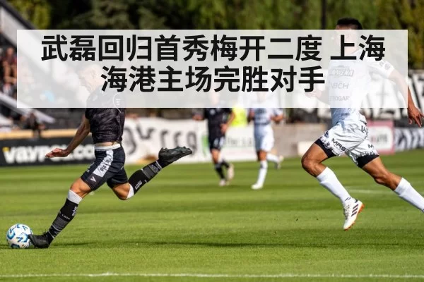 武磊回归首秀梅开二度 上海海港主场完胜对手